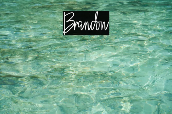 Brandon Example 1