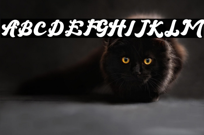 Brandy - Personal use Example 1