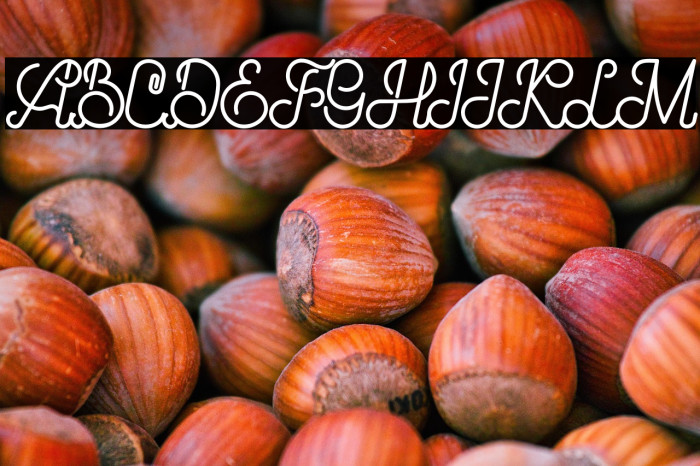 Brandy Script Example 2