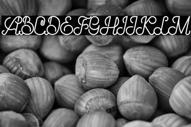 Brandy Script Font examples