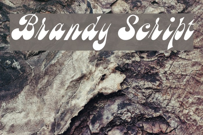 Brandy Script Polices examples
