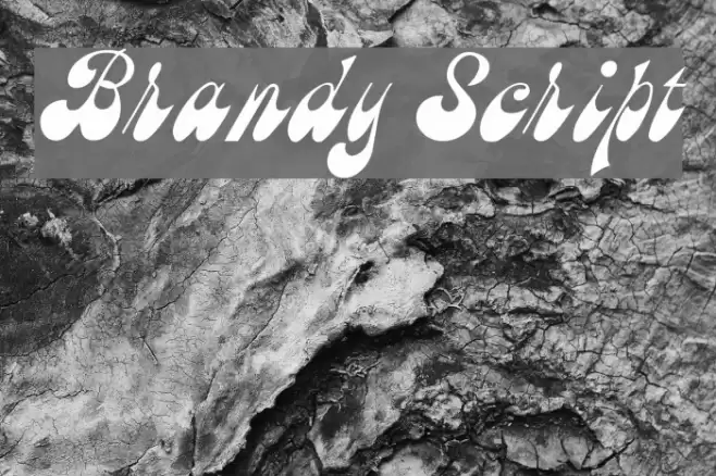 Brandy Script Schriftart examples