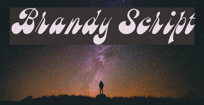Brandy Script Polices examples
