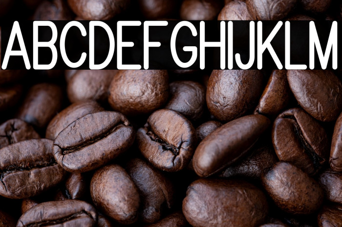 Brandy mono san typeface Example 3