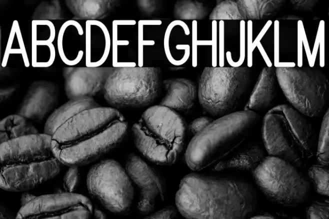 Brandy mono san typeface フォント examples