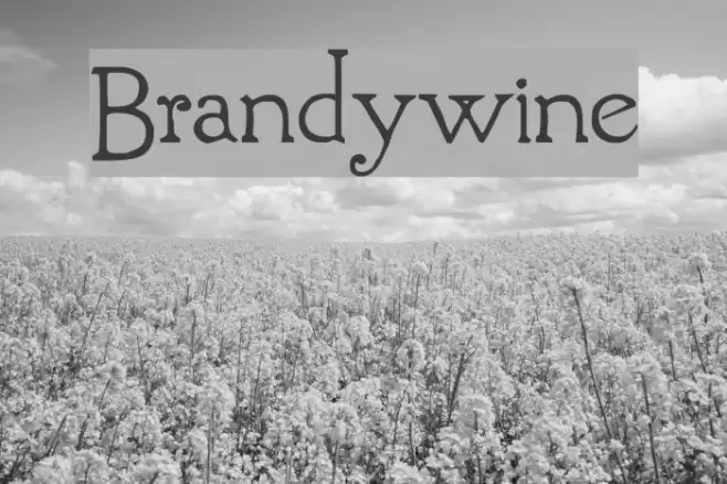 Brandywine Font examples