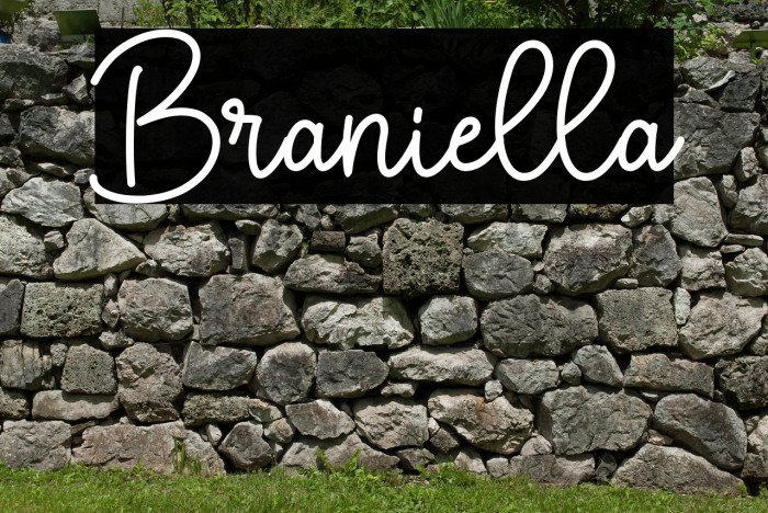 Braniella Example 1