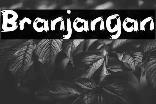 Branjangan Font examples