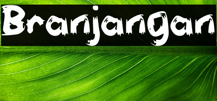 Branjangan Example 3