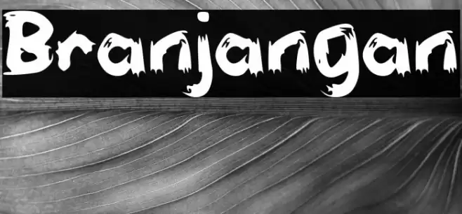 Branjangan Font examples