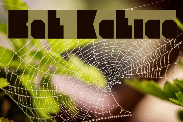 Branko Kockica Font examples