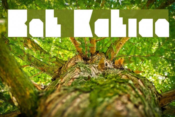 Branko Kockica Font examples
