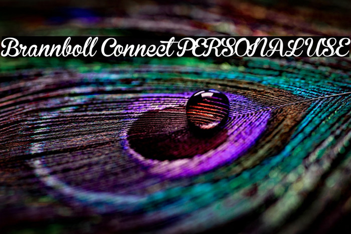 Brannboll Connect PERSONAL USE Example 1