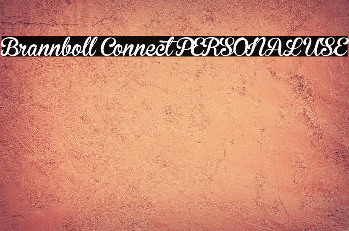 Brannboll Connect PERSONAL USE Example 2