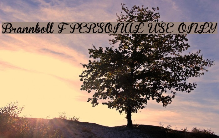 Brannboll F PERSONAL USE ONLY Example 2