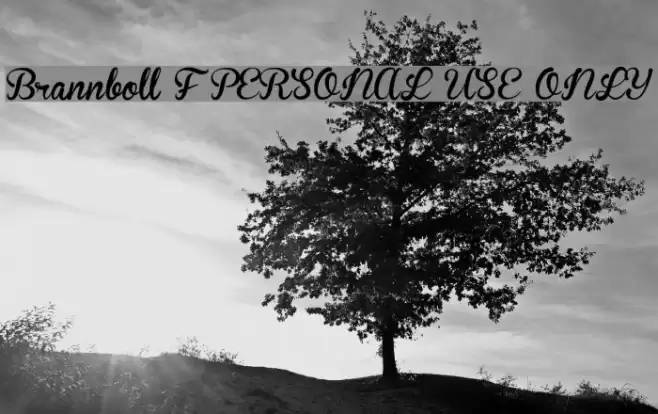 Brannboll F PERSONAL USE ONLY Font examples