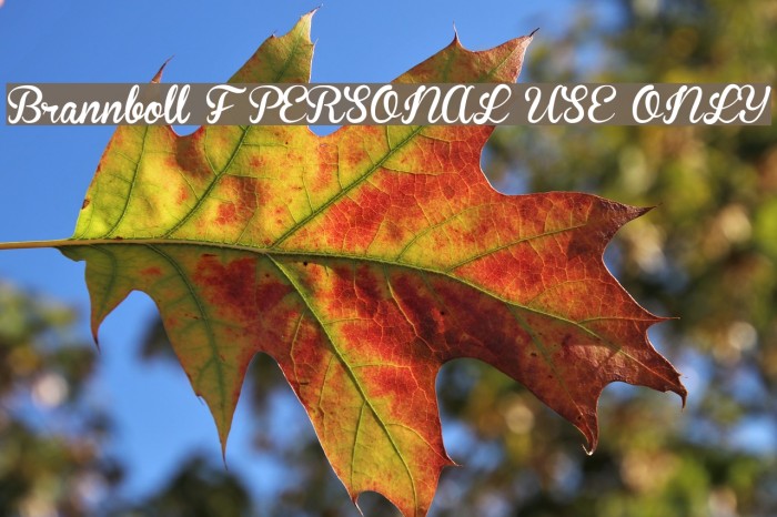 Brannboll F PERSONAL USE ONLY Example 3