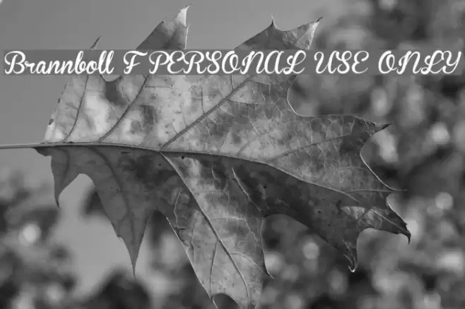 Brannboll F PERSONAL USE ONLY Font examples