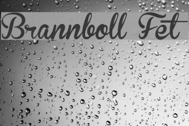 Brannboll Fet Font examples