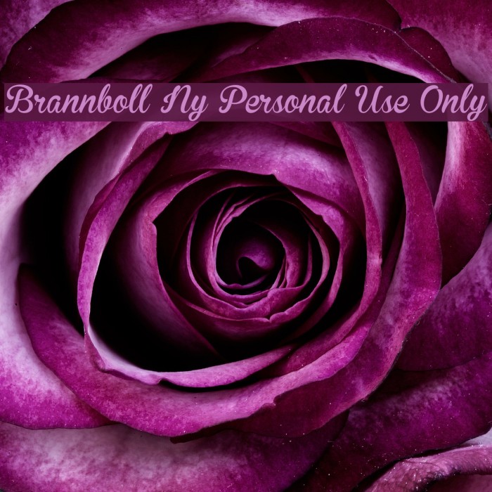 Brannboll Ny Personal Use Only Font examples
