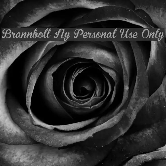 Brannboll Ny Personal Use Only フォント examples