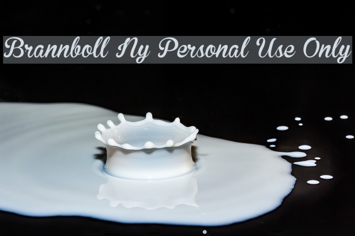 Brannboll Ny Personal Use Only Font examples
