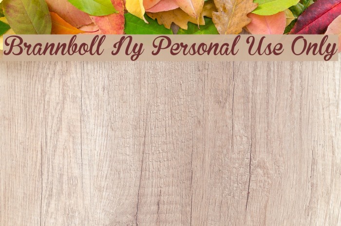 Brannboll Ny Personal Use Only Font examples