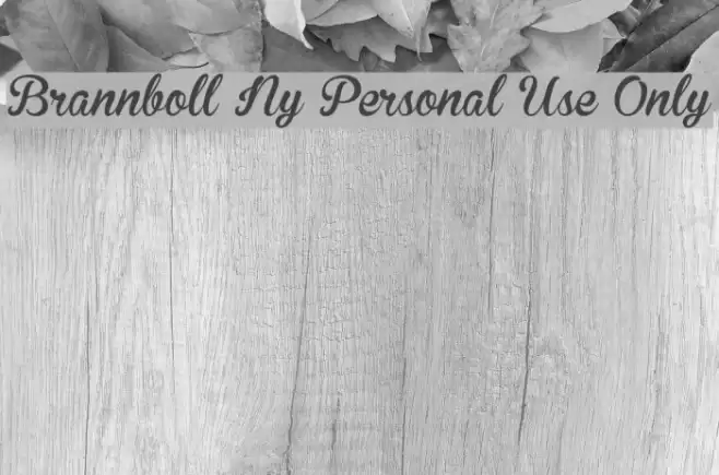 Brannboll Ny Personal Use Only フォント examples