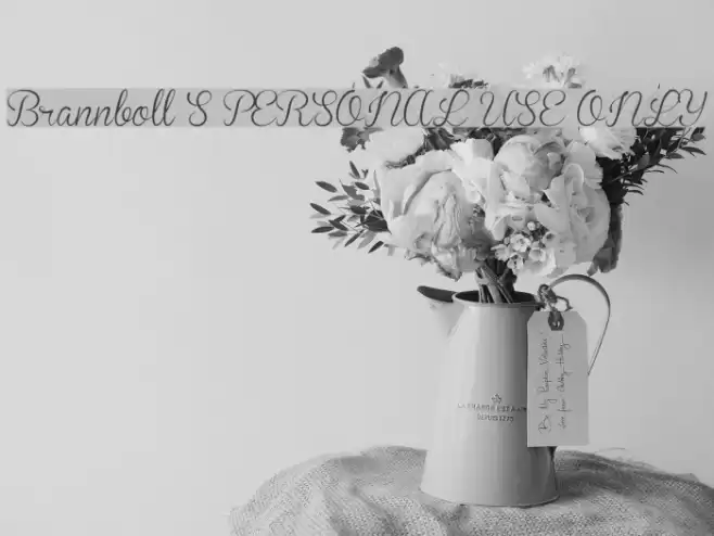 Brannboll S PERSONAL USE ONLY Font examples