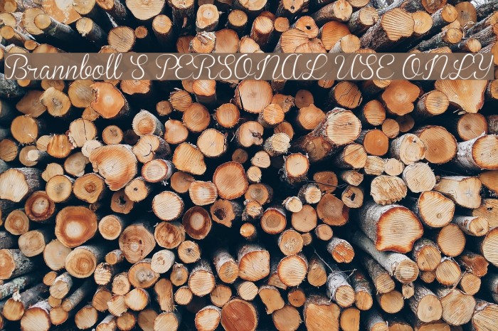 Brannboll S PERSONAL USE ONLY Font examples