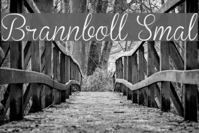 Brannboll Smal Font examples