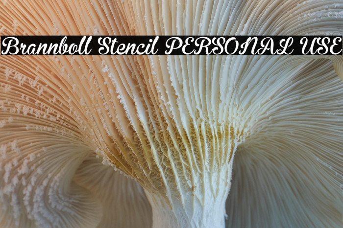 Brannboll Stencil PERSONAL USE Example 3