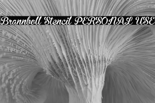 Brannboll Stencil PERSONAL USE Font examples