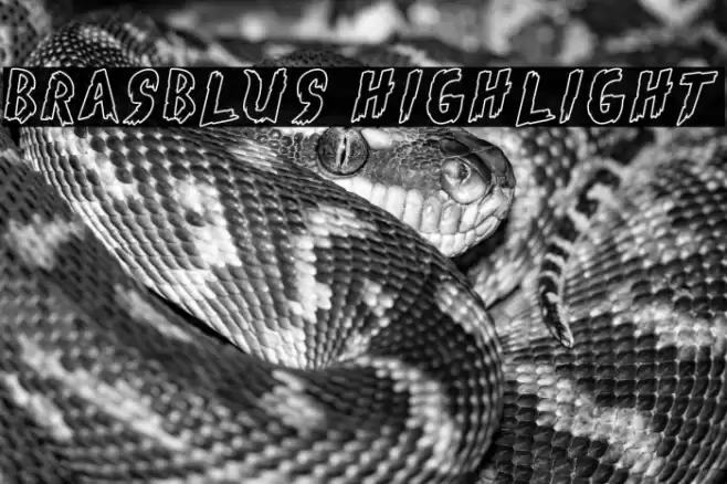 Brasblus Highlight Font examples