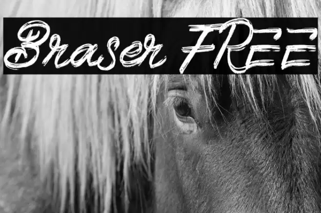 Braser FREE Font examples