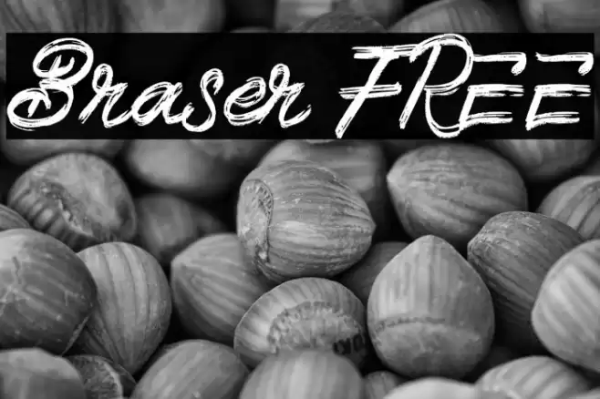Braser FREE Font examples