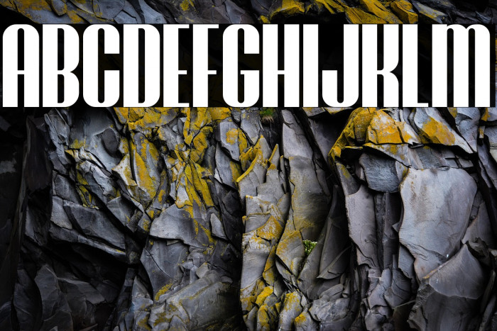 Brasham Regular Demo Example 1