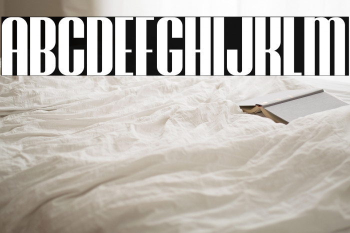 Brasham Regular Demo Example 3