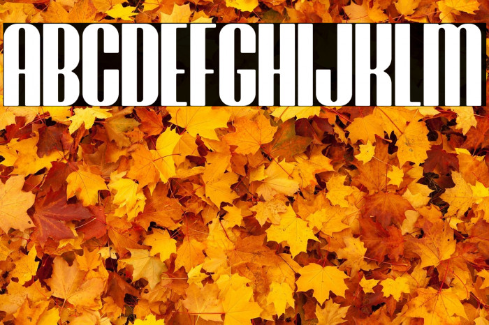 Brasham Rounded Demo Rounded Example 1