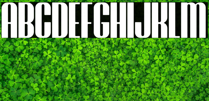 Brasham Rounded Demo Rounded Example 2