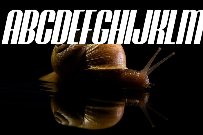 Brasham Rounded Italic Demo Rounded Italic Example 2