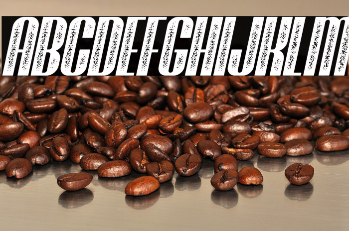 Brasham Stamp Italic Demo Stamp Italic Example 2