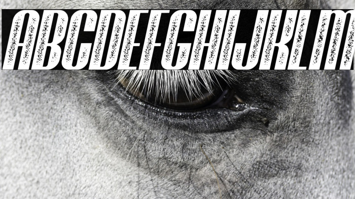 Brasham Stamp Italic Demo Stamp Italic Example 3