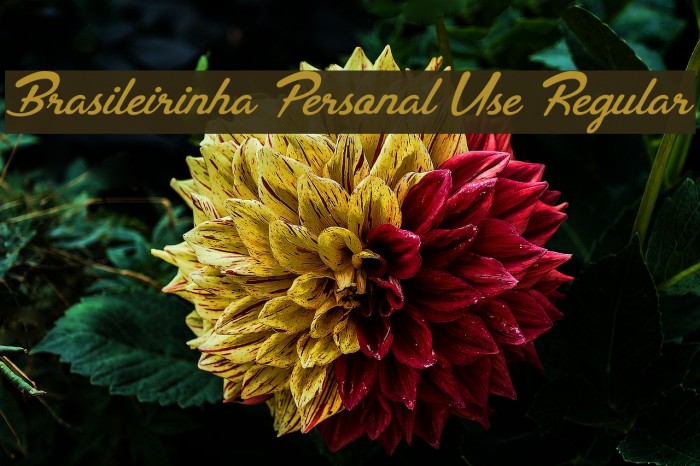 Brasileirinha Personal Use Regular Font examples