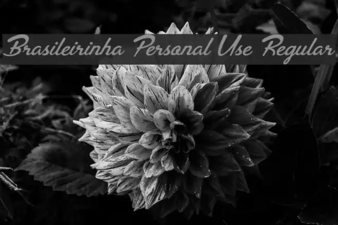 Brasileirinha Personal Use Regular Font examples