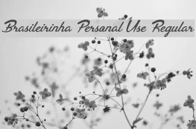 Brasileirinha Personal Use Regular Font examples