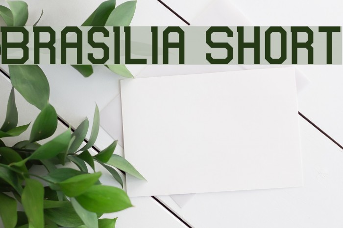 Brasilia Short Example 2