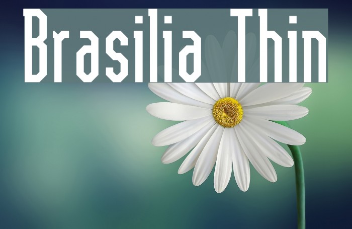 Brasilia Thin Font examples