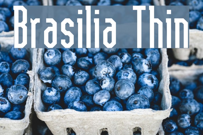 Brasilia Thin Font examples