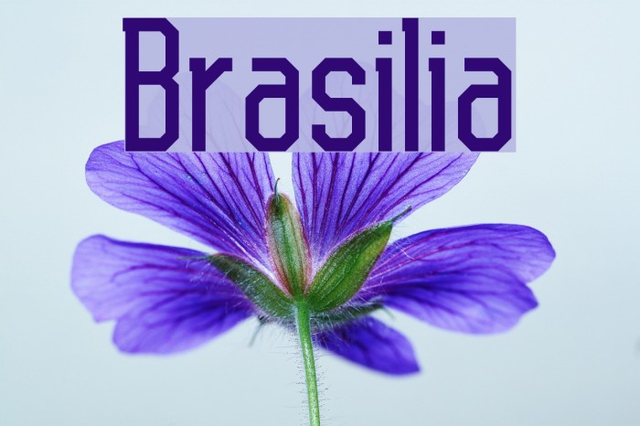 Brasilia Font examples